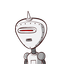 متین
