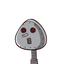 محمد