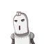 Amir