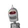 guest