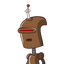 amir