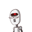 amir