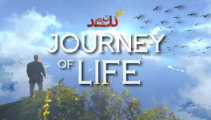 آموزش آنلاین بازی کردن Journey Of Life