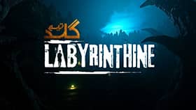 اموزش انلاین بازی کردن Labyrinthine